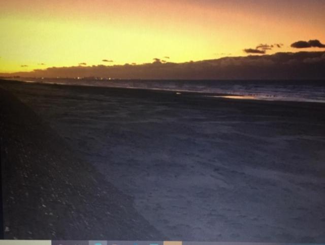 Appartement Studio Face A La Mer Bray-Dunes Exteriör bild